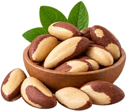 Urovenex – selenium in Brazil nuts