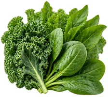 Urovenex – vitamin K in green leafy vegetables